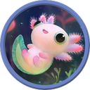 B�bi Axolotl